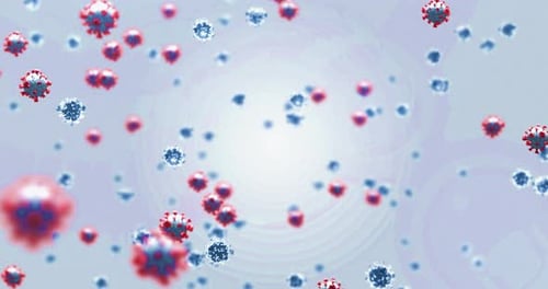 Animation of macro Covid-19 cells floating on a white background