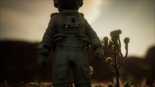 Astronauth in the High Desert of Nevada