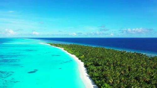 Aerial drone panorama of paradise tourist beach trip by blue green lagoon with white sandy backgroun