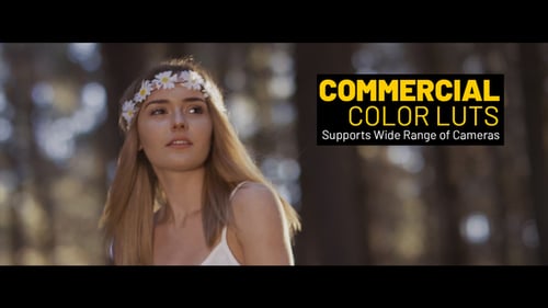 Commercial LUTs for Final Cut