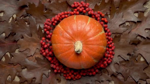 Autumn Pumpkin with Berries and Brown Oak Leaves