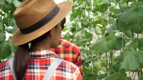 Young Asian Couple of Farmers Walking and Checking Their Farm Greenhouse