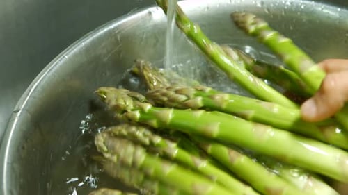 Male Hands Wash Asparagus.