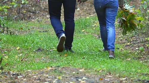 Young Couple Walking on Forest Path