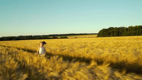 Aerial of little girl running in wheat field in summer