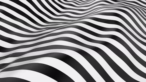 Abstract Wavy Black and White Stripes Fluid Motion Background