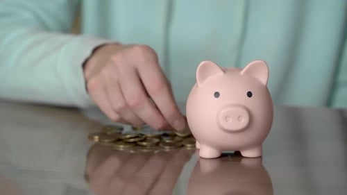 Female hand puts coins in a piggy bank. Money saving concept