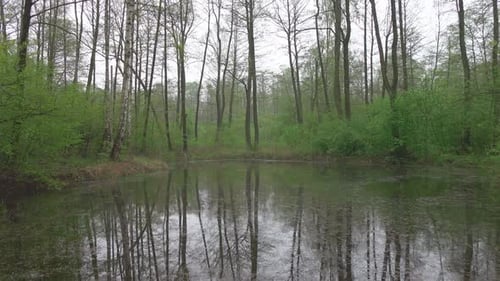 Pond 4K