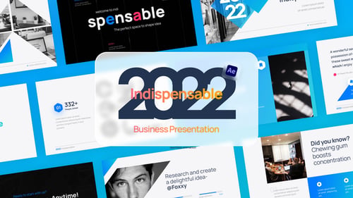 Indispensable Business Video Display After Effect Template