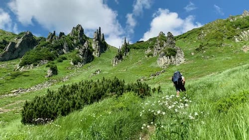 Hiker Ascends a Green Mountain Slope