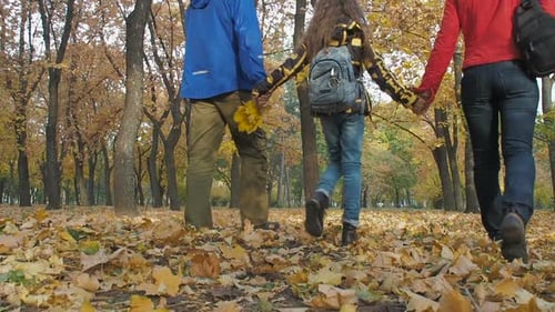 Family Walks in the Autumn Park