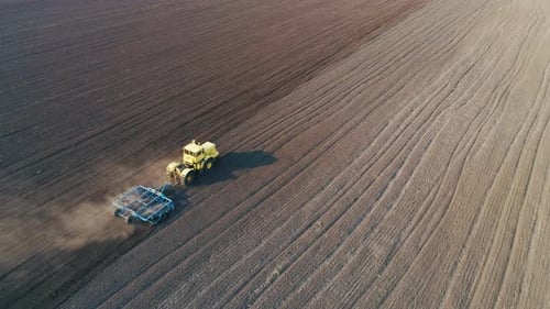 Tractor in the Large Brown Field Prepares the Soil for Sowing