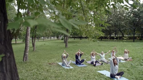 Yoga Class Exercising Outdoors in Green Park