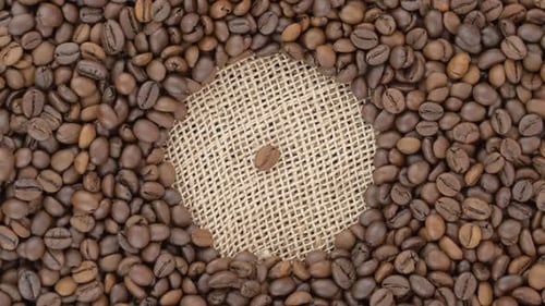 Coffee Beans Display with Burlap Center and Single Bean