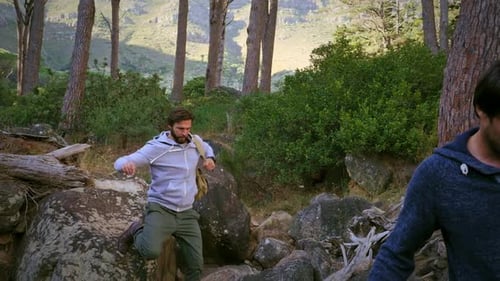 Men walking in forest