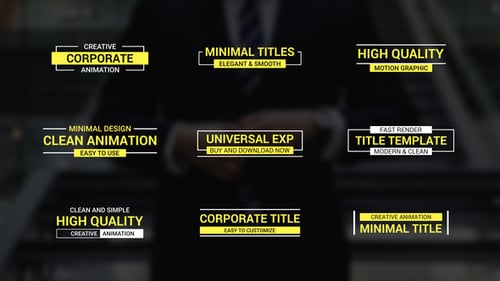 Minimal Corporate Lower Thirds and Clean Title Card Animations