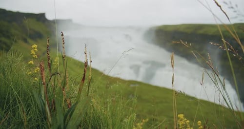 Grass Foliage and Blurred Gullfoss Waterfall in Background