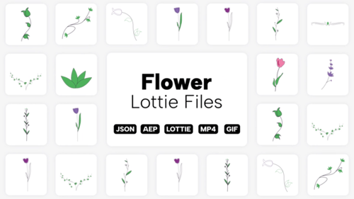 Animated Minimalist Flower and Vine Line Art Elements