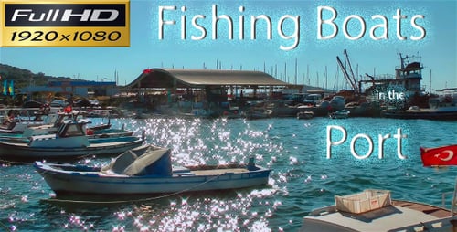 Bateaux de pêche dans le port FULL HD