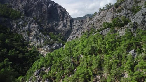 Aerial Landscape with Green Trees and Stone Summits Filmed By Drone in Turkey