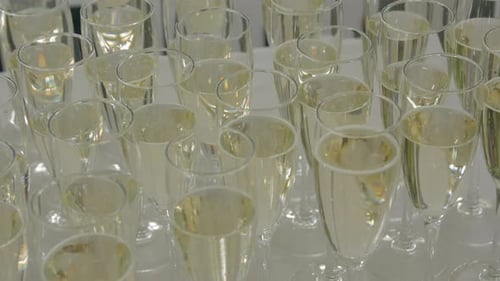 Rows of Champagne Glasses Filled With Wine
