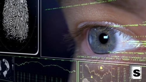 Hacker Looking Identification Data