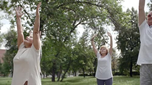 Seniors Doing Exercise Together in a Verdant Park