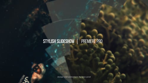 Stylish Slideshow For Premiere