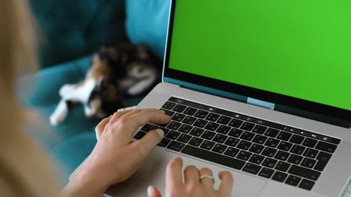 Business Woman Working in Home Office Interior Near Cat Rbbro
