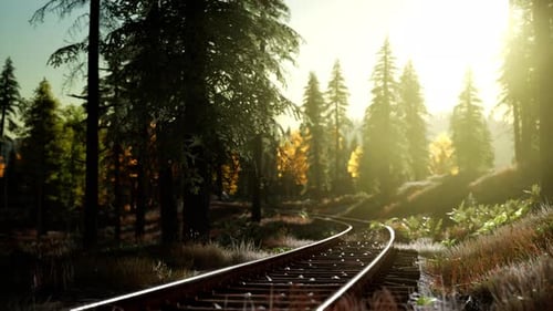 Train Tracks Through Sunny Forest Landscape Animation