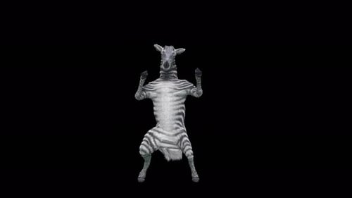 Funny Animated Dancing Zebra Character on Alpha Channel