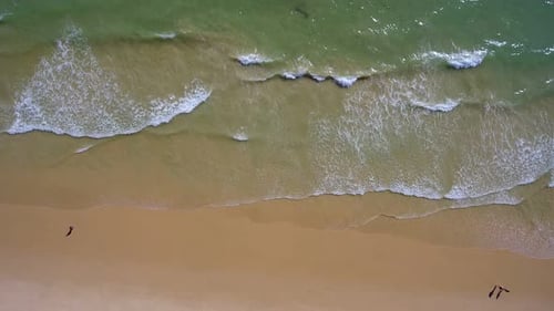 Aerial Video of Beautiful Southern Beaches