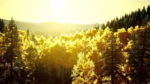 Coucher de soleil radieux dans les montagnes