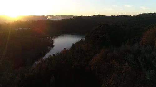 Luftaufnahme eines Flusswaldes