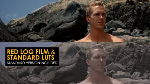 Red Log Film And Standard Luts