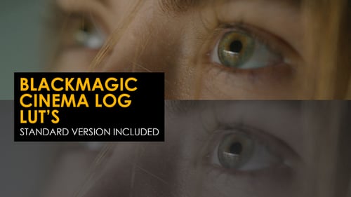 Blackmagic Cinema Log And Standard Luts