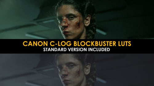 Canon C-Log Blockbuster And Standard Lut