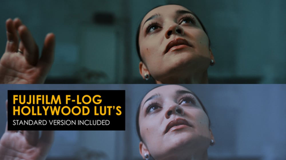 Hollywood Fujifilm F-Log and Standard Luts, LUTs ft. lut vlog ...