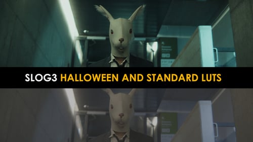 Slog3 Halloween And Standard LUTs