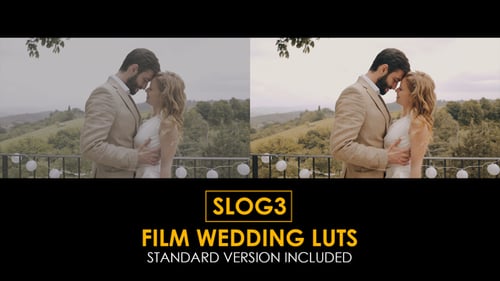 Professional Film Wedding Video LUTs Presets