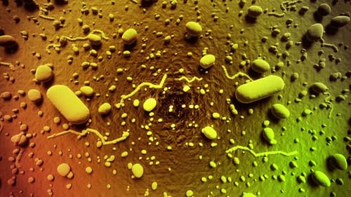 Microscopic view of bacterias with inspiring background. Loopable animation. HD