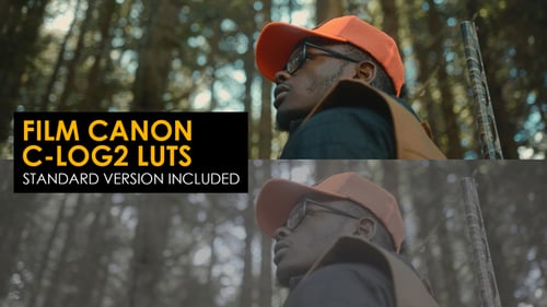 Film Canon C-Log2 and Standard Luts for Final Cut