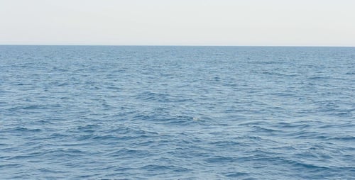 Sea 2
