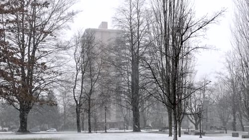 Snowstorm Day - City Houses and Park Trees