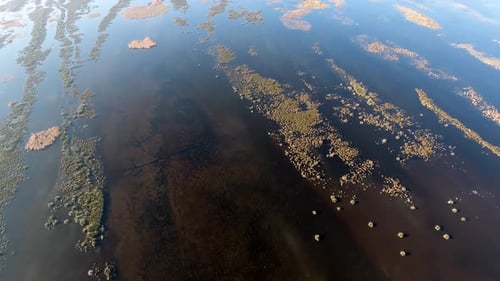 Aerial View of Tranquil Marshland