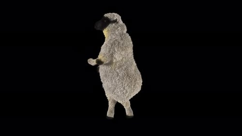 Animated Dancing Sheep Loop for Celebrations