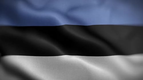 Estonia National Flag Waving Seamless Loop Animation
