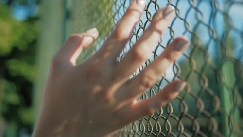 Woman's Hand Resting on Chainlink Fence on Sunny Day