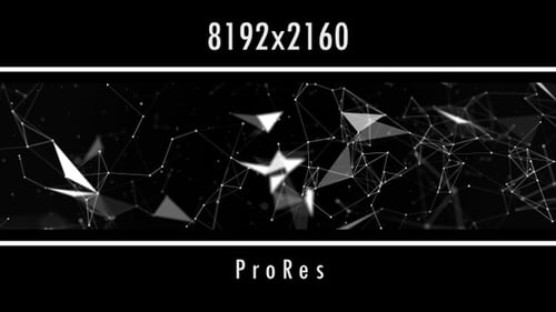 Animated Plexus Network Geometric Grid Connecting Dots