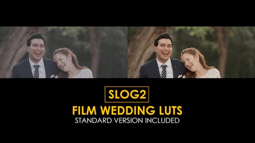 Slog2 Film Wedding and Standard Luts